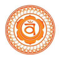 Introduction to Yogic Anatomy